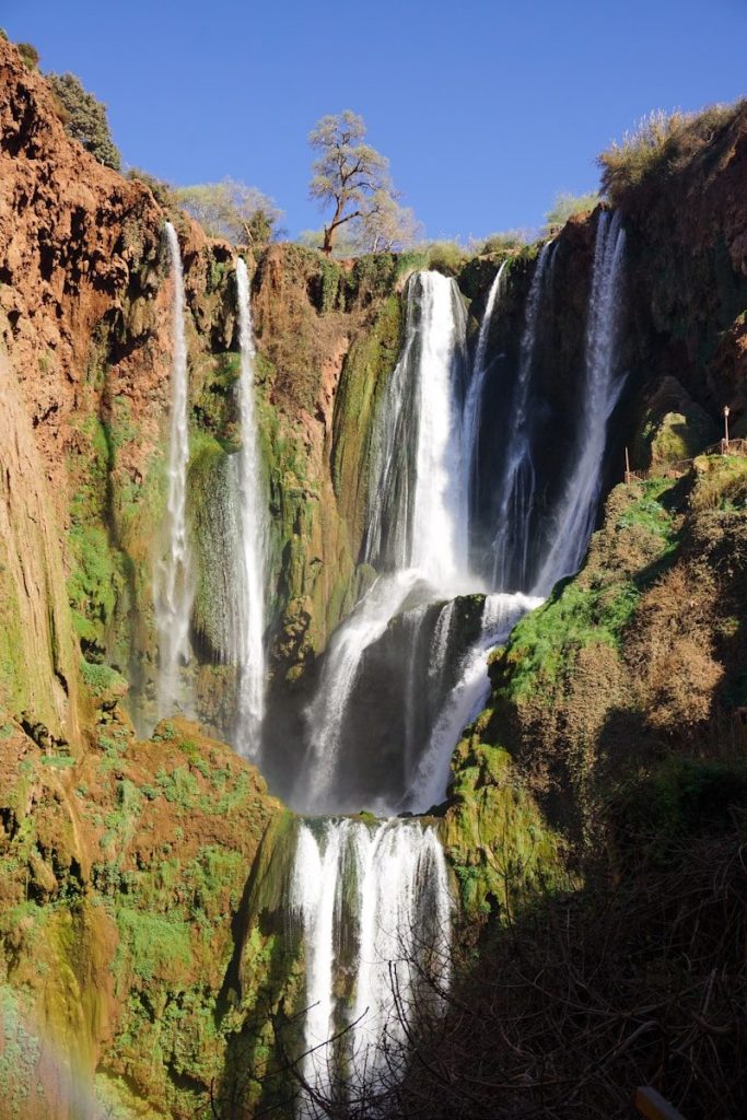 cascate nel cuore della foresta durante il giorno
