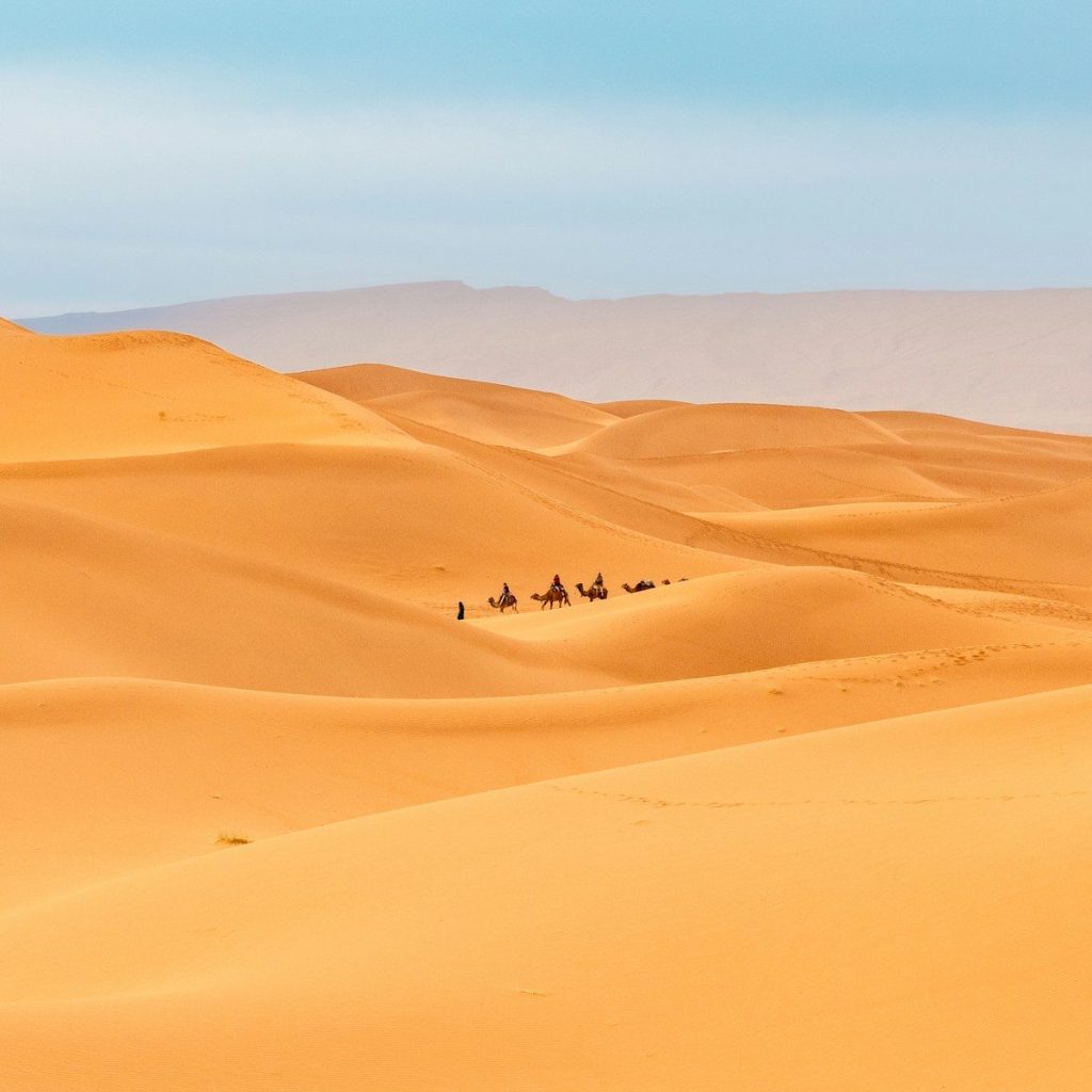 Lo más destacado 7 días desde Tánger a Marrakech