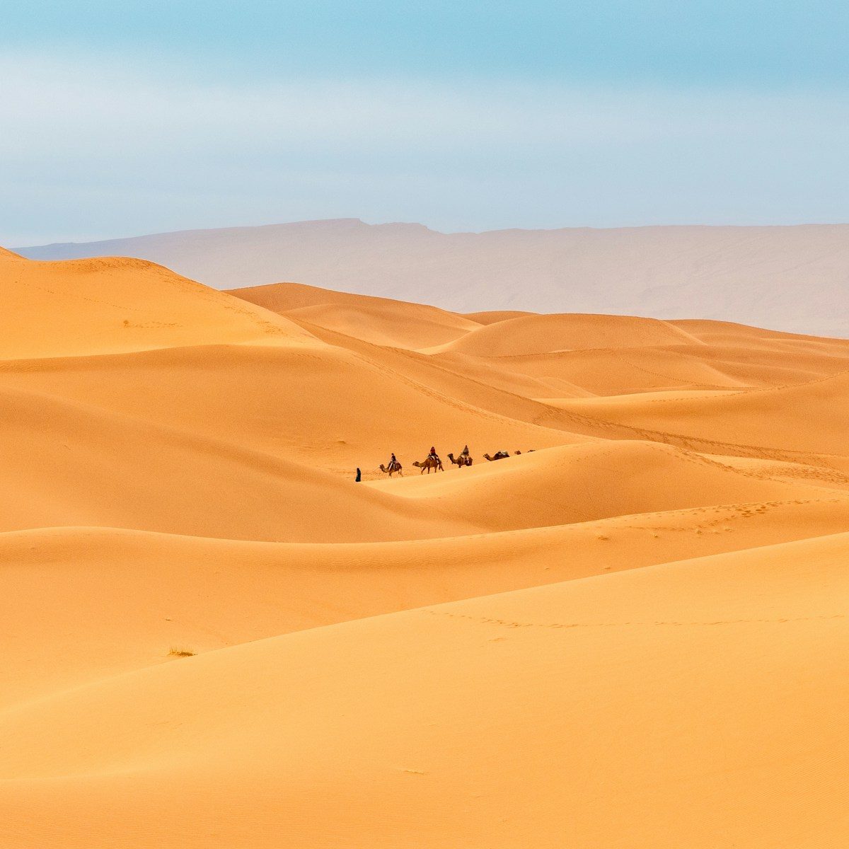 Lo más destacado 7 días desde Tánger a Marrakech