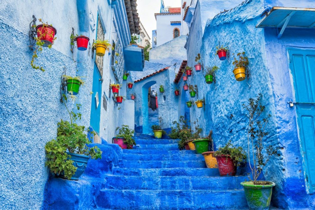 una strada stretta con scalini blu e piante in vaso