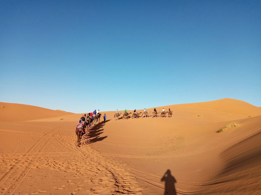 persone che cavalcano cammelli nel deserto