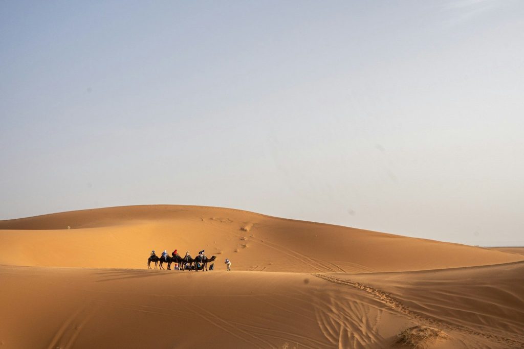 Un gruppo di persone a cavallo di cammelli attraverso il deserto