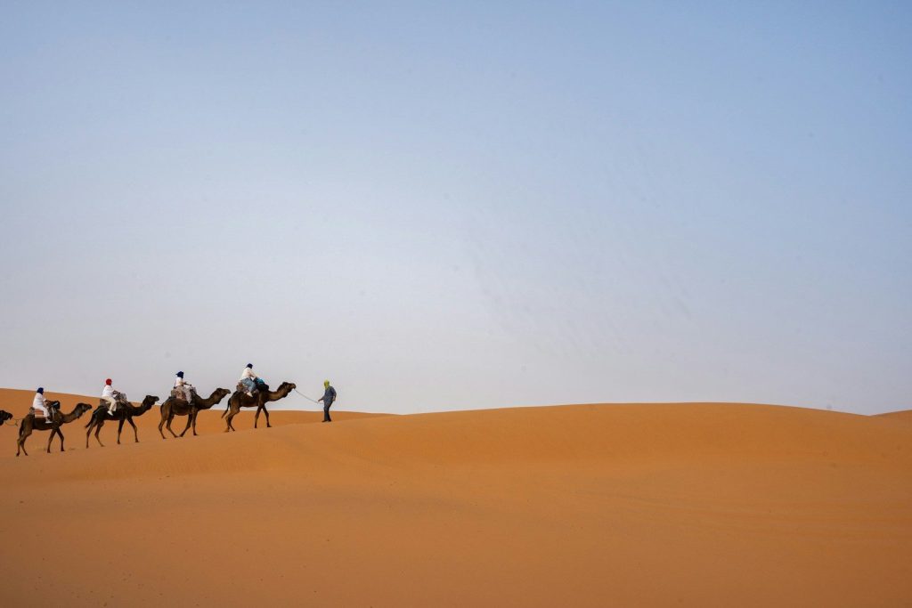 Un gruppo di persone a cavallo di cammelli attraverso il deserto