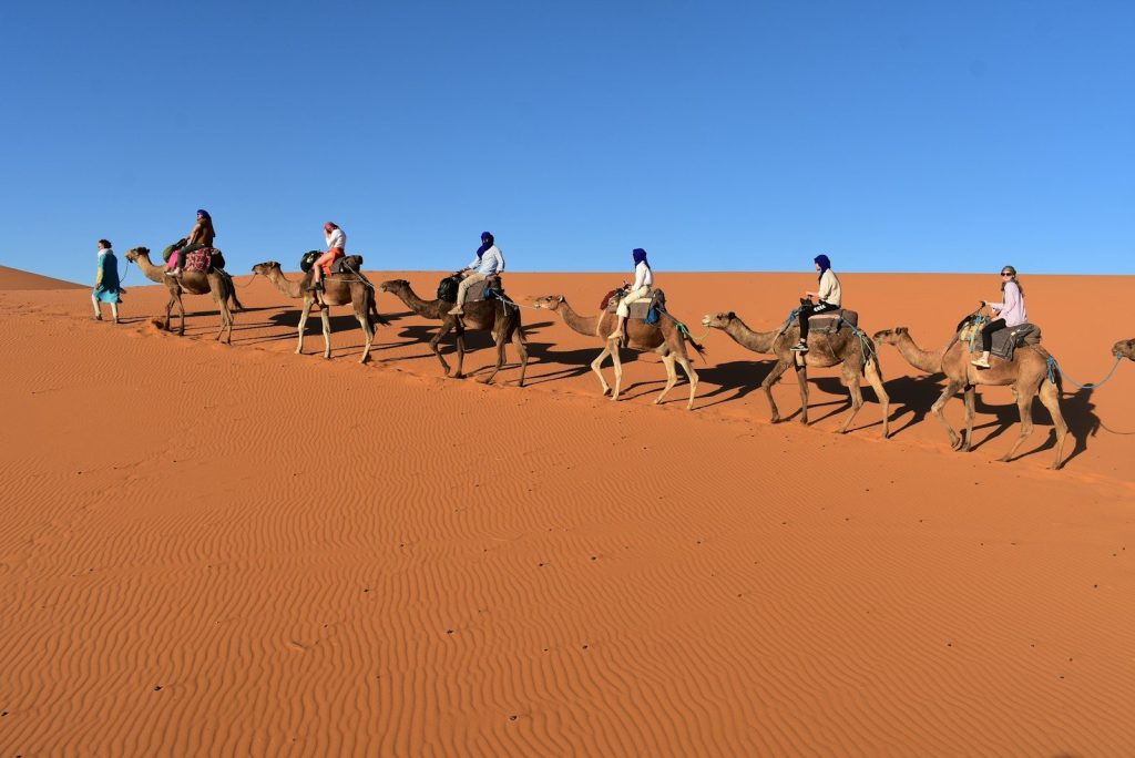persone che cavalcano cammelli nel deserto